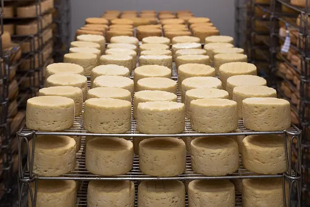 Les Secrets de l'Affinage des Fromages : Techniques et Astuces