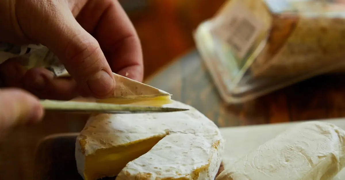 Tout savoir sur les fromages à pâte molle