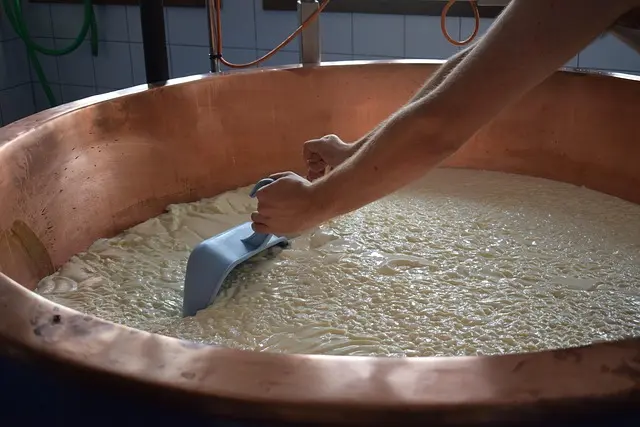 Les secrets des grands fromagers : techniques et traditions