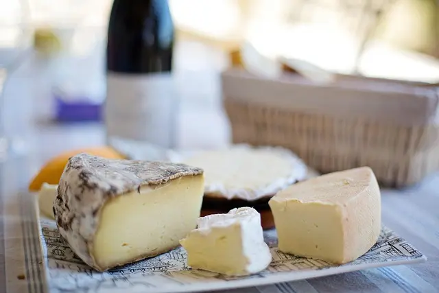 Tout savoir sur l'encyclopédie des fromages : variétés et saveurs