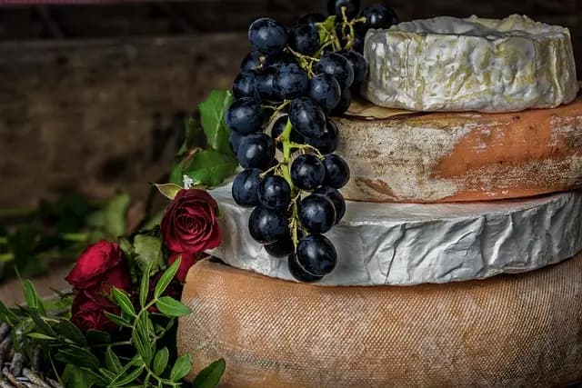 Tout savoir sur l'encyclopédie des fromages