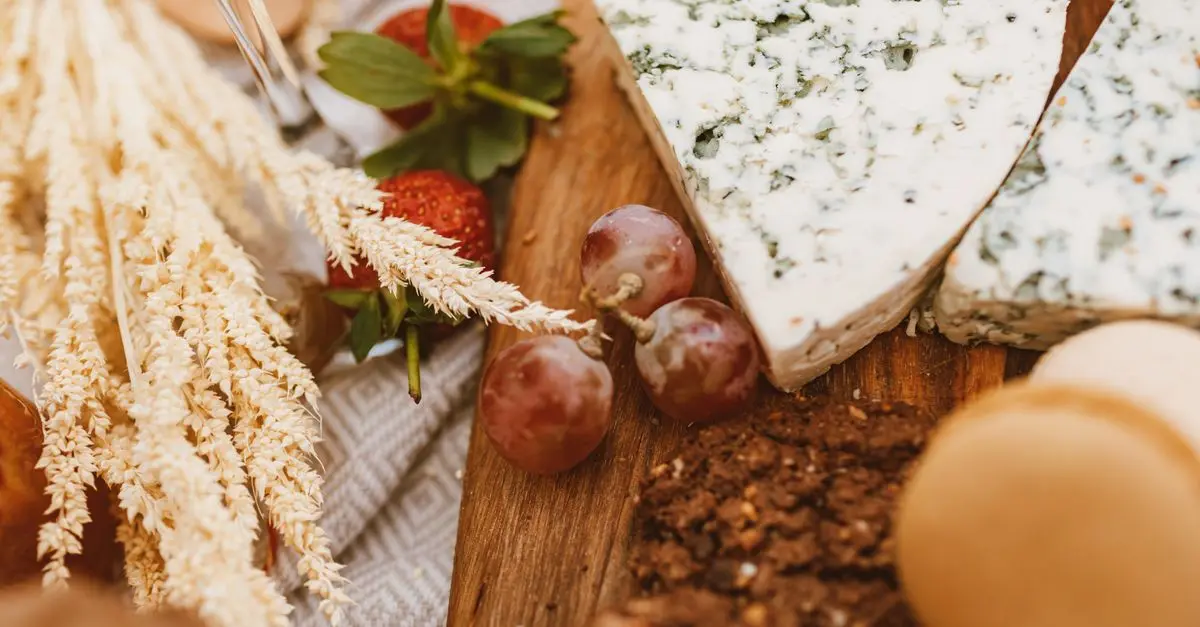 Les fromages de France : un voyage au cœur des terroirs