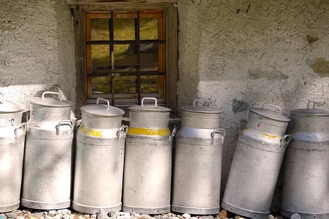 L'histoire des fromages au lait cru : entre tradition et modernité