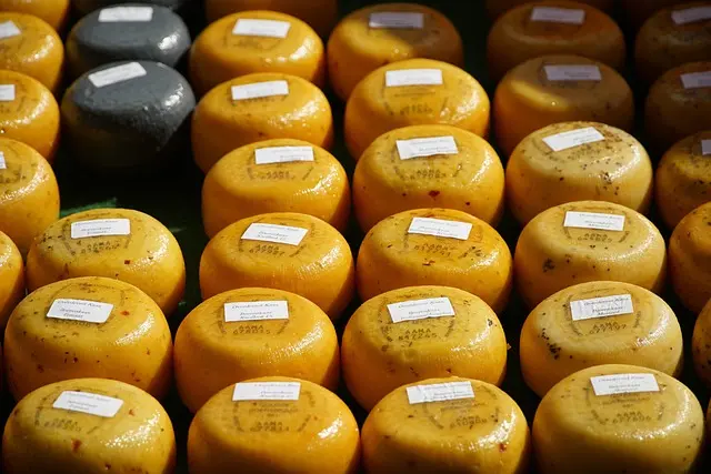 À la découverte des fromages artisanaux : saveurs et traditions