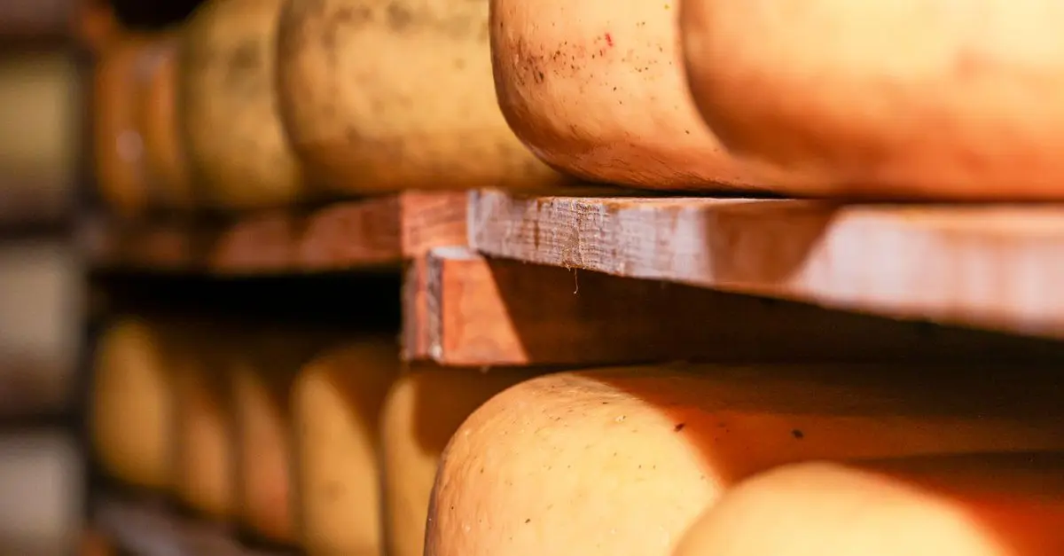 L'art d'affiner le fromage : techniques et secrets