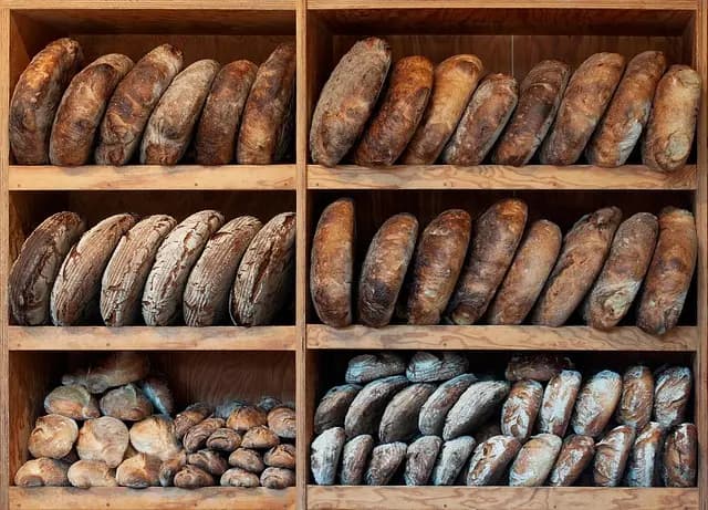 Les fromages français à pâte molle : diversité et saveurs à explorer