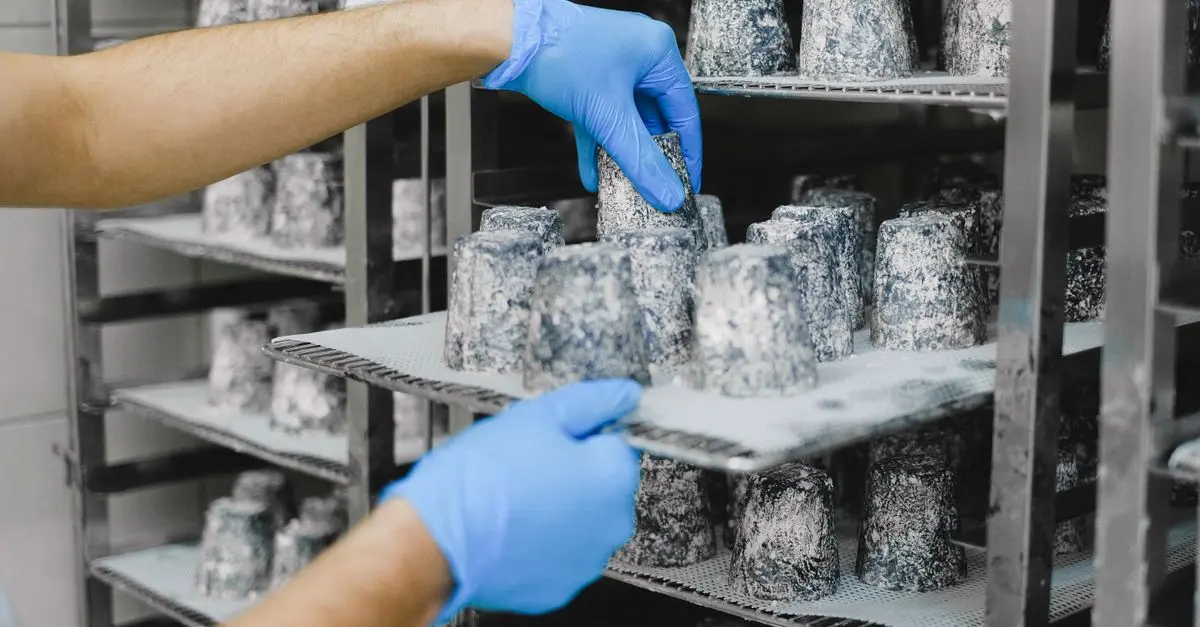 L'Art de l'Affinage du Fromage : Techniques et Secrets