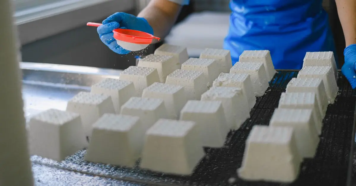 Comment fabriquer du fromage frais maison