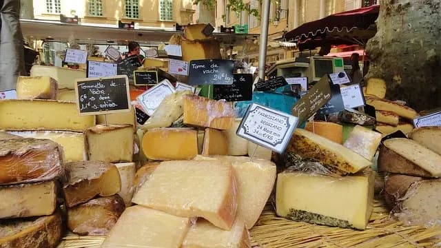 Les fromages de France : un parcours à travers les terroirs