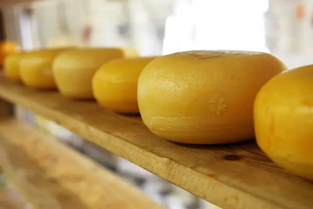 Les secrets des fromages affinés : caractéristiques et variétés