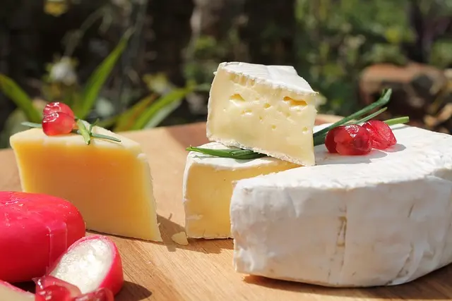 L'Encyclopédie des Fromages : Les Secrets des Pâtes Molles