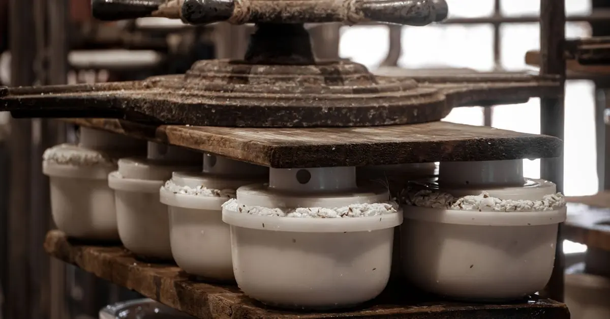 Tout savoir sur l'affinage des fromages : techniques et secrets