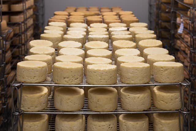 Comment reconnaître un fromage de qualité : nos conseils pratiques